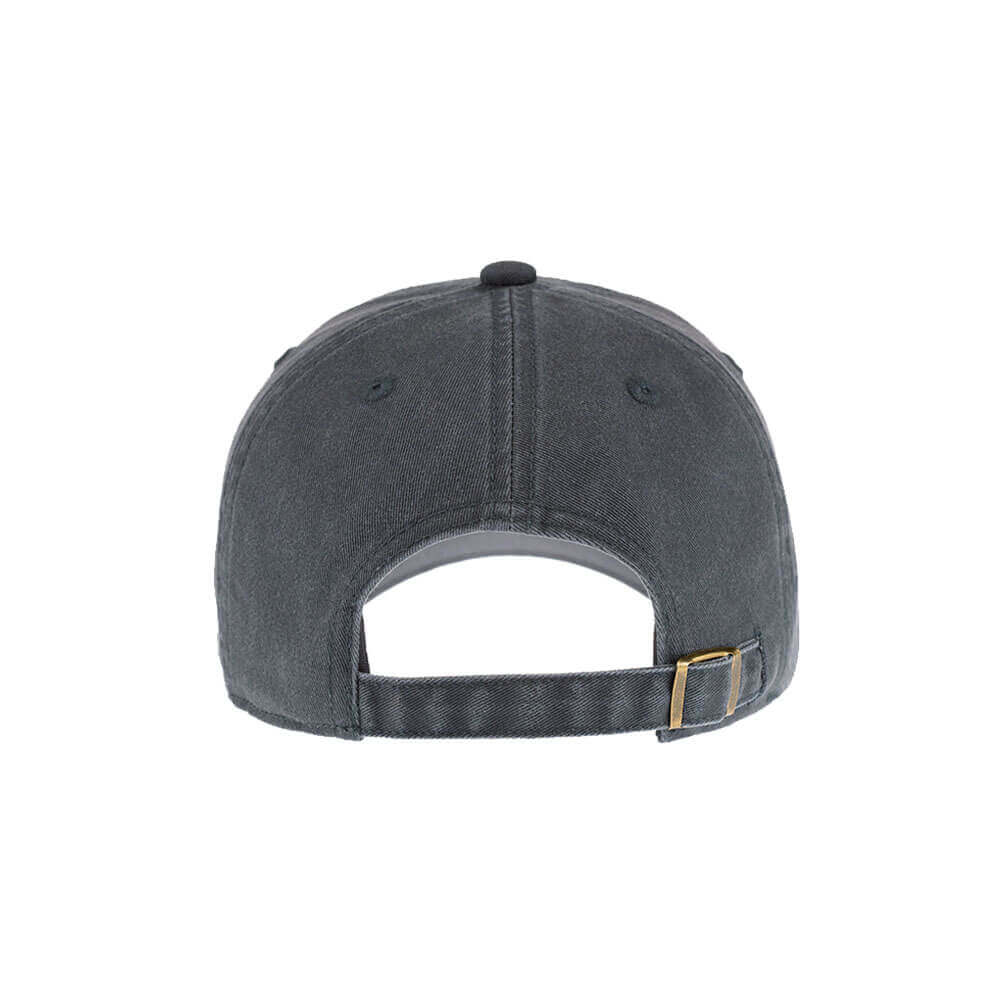 P2161 Low-FIT Washed cap product view 4